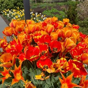 Meet your Posher, Judy